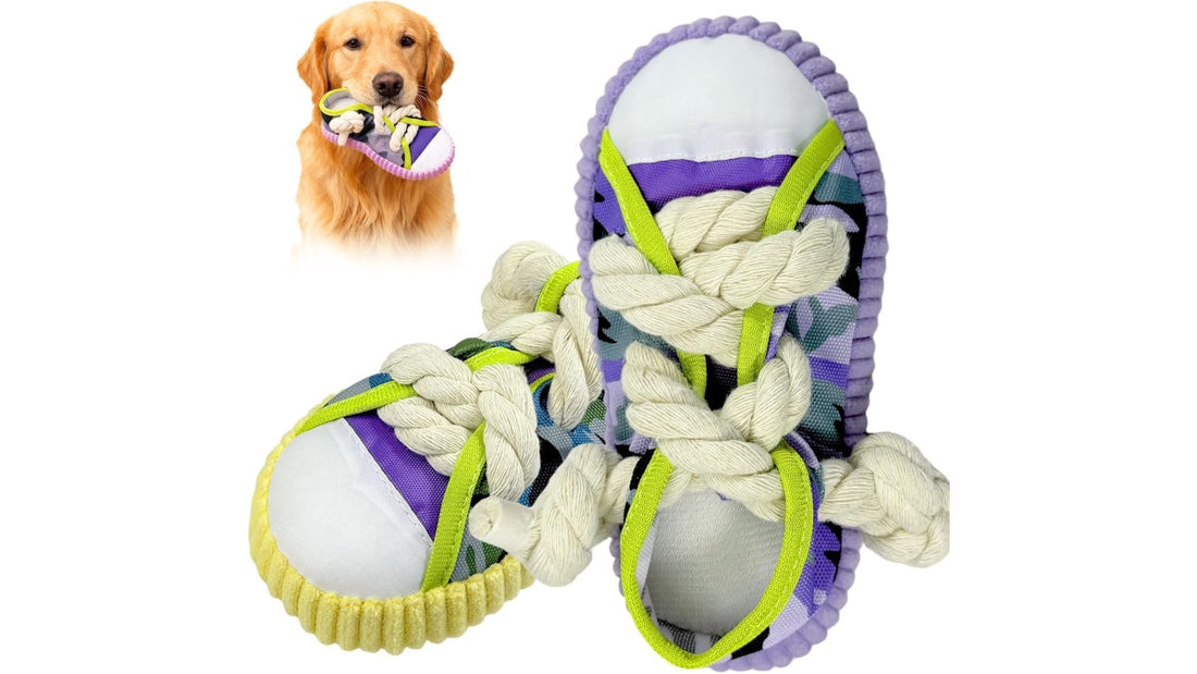 How to Choose Durable Dog Toys: 2026 Guide