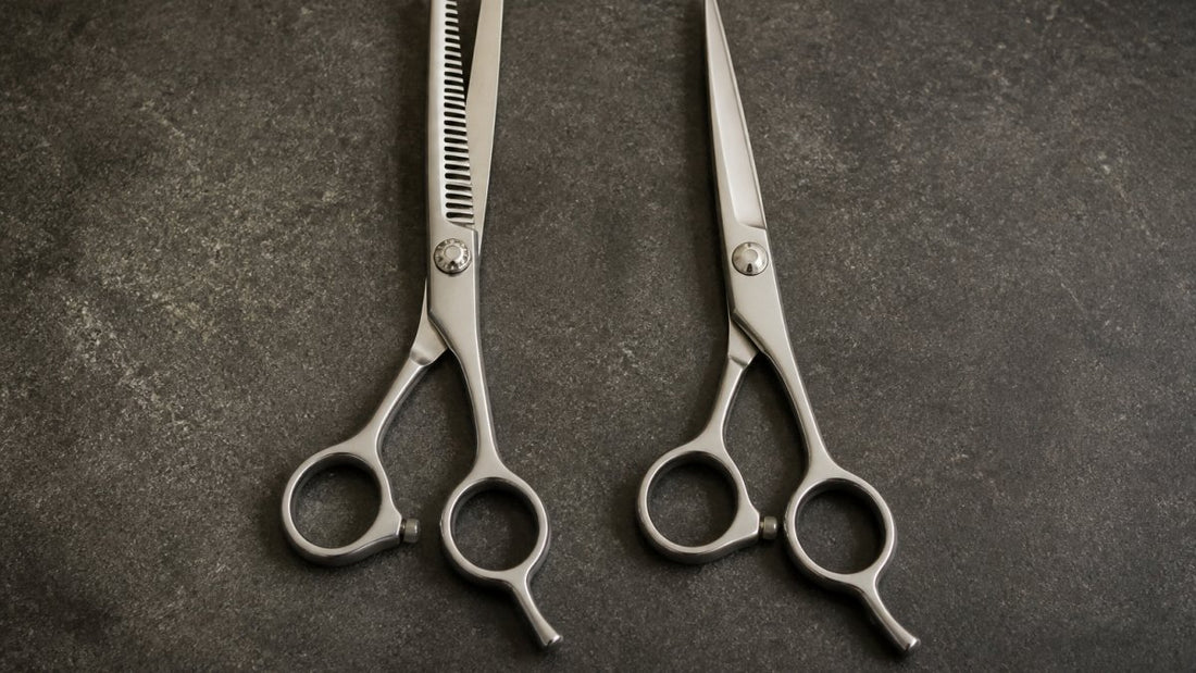 Professional Grooming Shears vs Standard Scissors